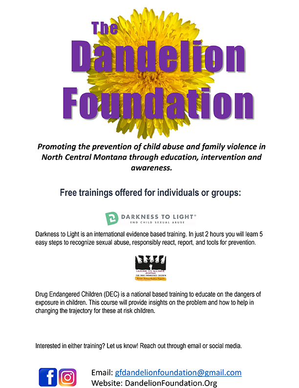 The Dandelion Foundation flyer